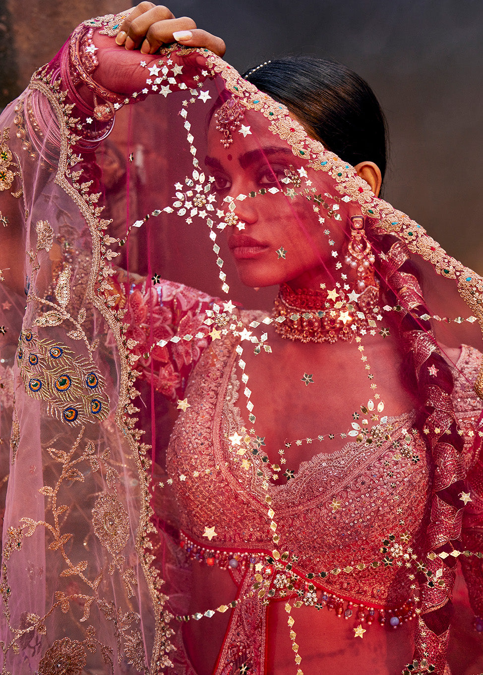 Rani Pink Pichhwai Lehenga