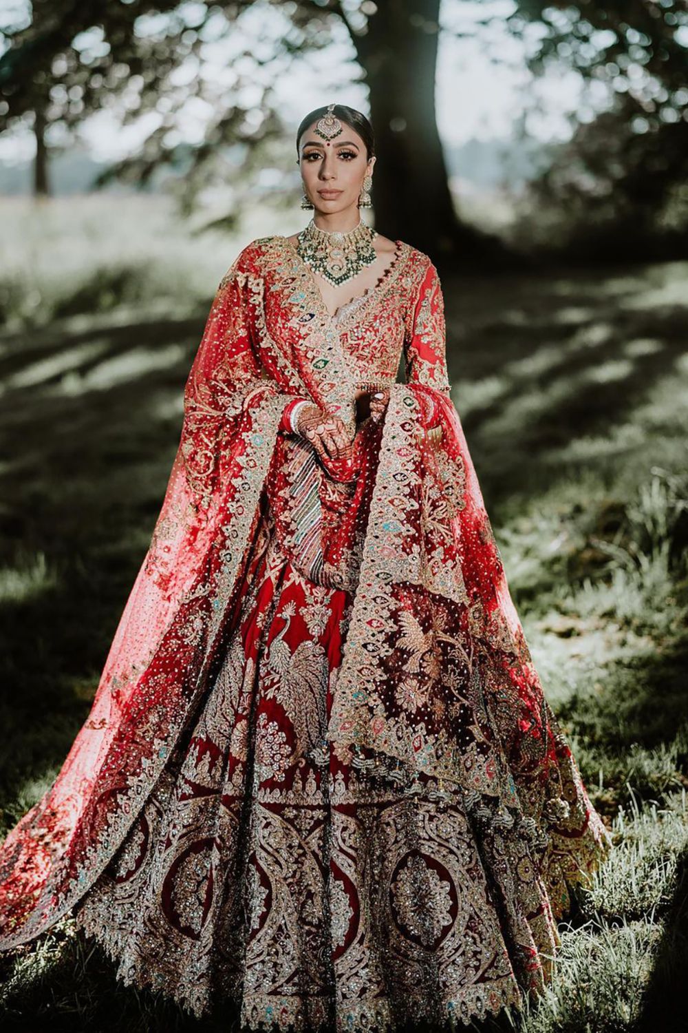 Seema Sarees - Red and Gold Bridal Indian/Pakistani/Asian Wedding Dress |  eBay